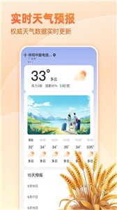 麦穗天气截图11