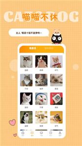 猫语狗语转换器截图33