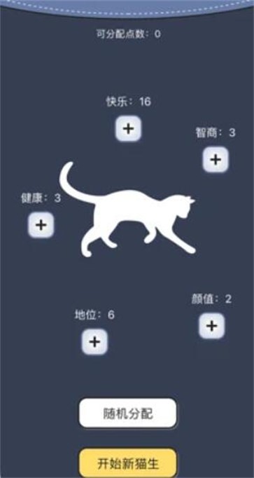 猫咪的一生截图22