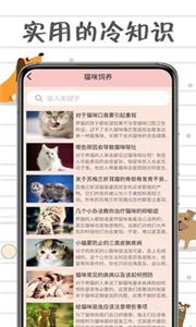 小猫交流器截图22