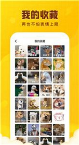 闪萌表情包取图截图33