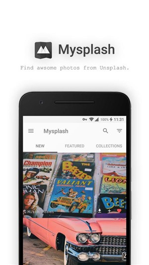 Mysplash截图11