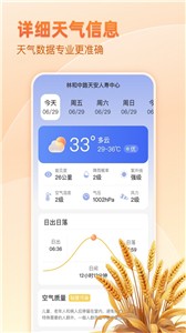 麦穗天气截图33