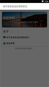 V壁纸截图22