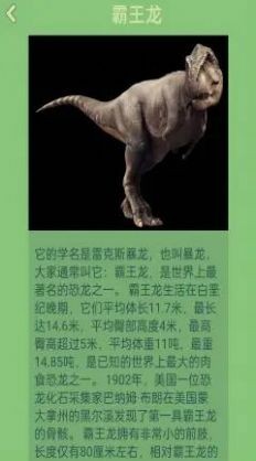 梦幻恐龙岛截图33