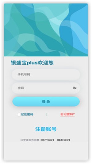 银盛宝plus截图33