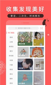 堆糖app截图33