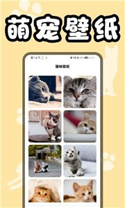 猫猫翻译器截图33