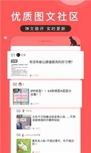 堆糖app截图11