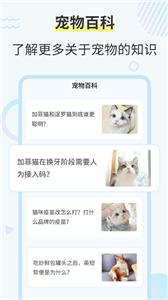 猫咪交流翻译器截图33