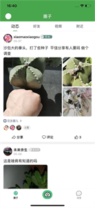 花草坑截图22