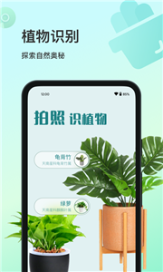 花卉识别大全截图11