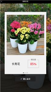 识花神器截图22