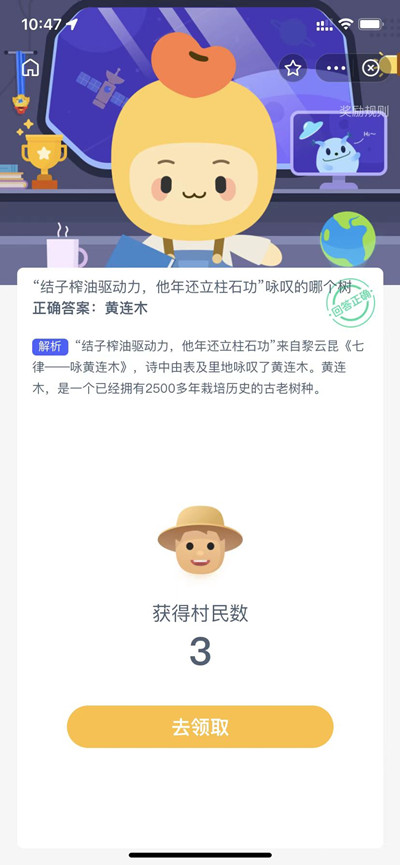 结子榨油驱动力是什么树