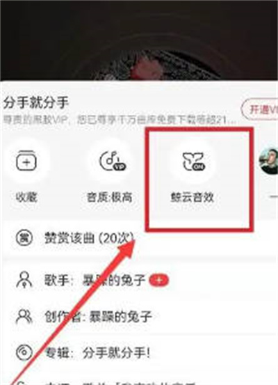 网易云音乐怎么关闭黑胶唱片转动效果