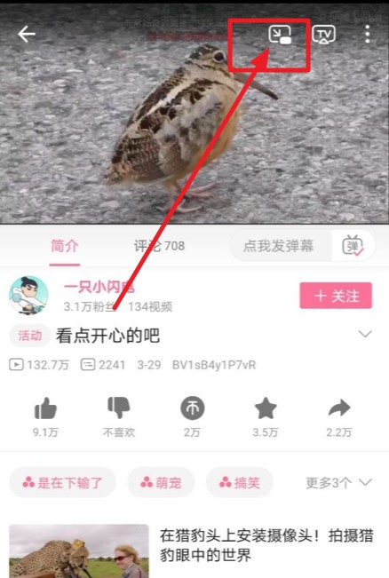 哔哩哔哩窗口模式怎么开