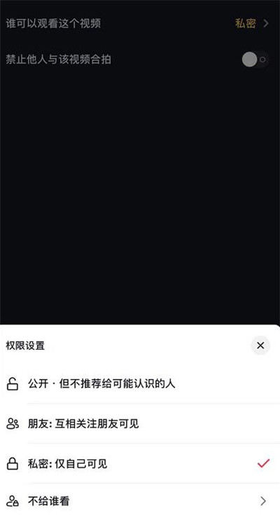 抖音怎么设置私密视频