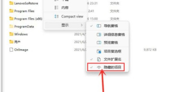 win11怎么查看隐藏的文件