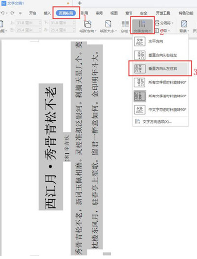 word怎么把文字调成竖排显示